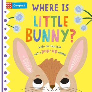 Where is Little Bunny?: The lift-the-flap book with a pop-up ending