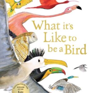 What it’s Like to be a Bird – Hardcover