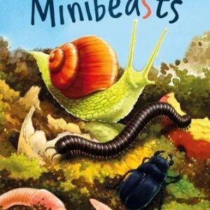 Ladybird – Minibeasts: Read It Yourself – Level 3