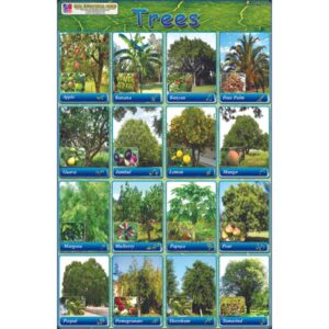 Sticker Of Trees