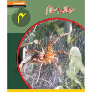 Mutalia e Islam Book 4 By Iqbal Series