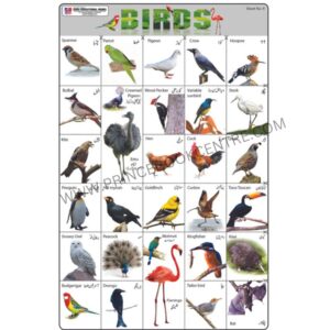 Sticker Of Birds