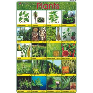 Sticker Of Plants