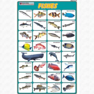 Sticker Of Fishes