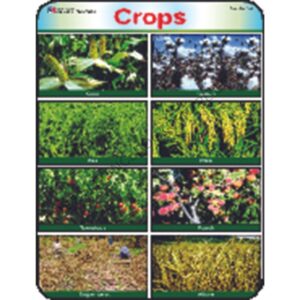 Sticker Of Crops