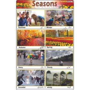 Sticker Of Seasons