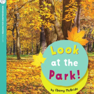 Look at the Park – Level2 (Paperback)