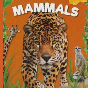 Mammals -Animal Classification (Paperback)