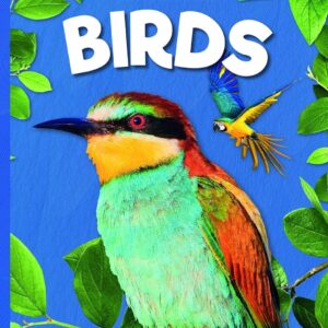 Birds – Animal Classification (Paperback)