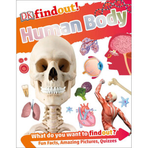 DK Find out! Human Body (Hardcover)