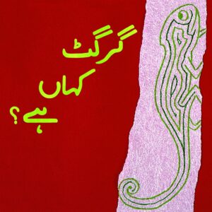 Girgit Kahan Hai (Urdu Book)